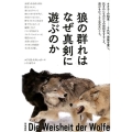 狼の群れはなぜ真剣に遊ぶのか