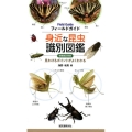フィールドガイド身近な昆虫識別図鑑 増補改訂新版 見わけるポイントがよくわかる