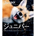 ジュニパー 世界でいちばん幸せなキツネ