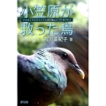 小笠原が救った鳥 アカガシラカラスバトと海を越えた777匹のネコ