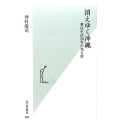 消えゆく沖縄 移住生活20年の光と影 光文社新書 850