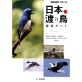 日本の渡り鳥観察ガイド BIRDERスペシャル