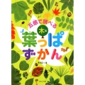 見る知る考えるずかん 五感で調べる 木の葉っぱずかん