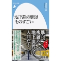 地下鉄の駅はものすごい 平凡社新書 942
