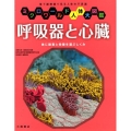 呼吸器と心臓 体に酸素と栄養を運ぶしくみ ミクロワールド人体大図鑑