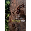 わたしのカブトムシ研究