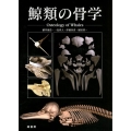鯨類の骨学