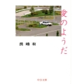 愛のようだ 中公文庫 な 74-2