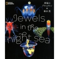 Jewels in the night sea 神秘のプランクトン