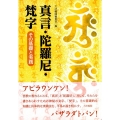 真言・陀羅尼・梵字 その基礎と実践