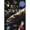 美しい深海生物