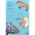 生きた化石摩訶ふしぎ図鑑 「生きもの摩訶ふしぎ図鑑」シリーズ