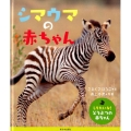 シマウマの赤ちゃん しりたいな!動物の赤ちゃん