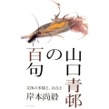山口青邨の百句 文体の多様さ、自在さ