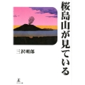 桜島山が見ている