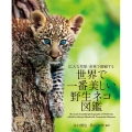 世界で一番美しい野生ネコ図鑑 広大な草原・密林で躍動する ネイチャー・ミュージアム