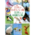 日本のかわいい鳥世界の綺麗な鳥 ビジュアルだいわ文庫 J 19