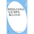 虐待された少年はなぜ、事件を起こしたのか 平凡社新書 911