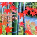 京都紅葉旅 SUIKO BOOKS 170