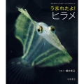 うまれたよ!ヒラメ よみきかせいきものしゃしんえほん 42
