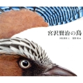 宮沢賢治の鳥 BIRDS LIVING IN IHATOV