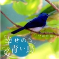 幸せの青い鳥