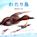 わたり鳥