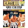 大相撲名力士風雲録 20 ベースボール・マガジン社分冊百科シリーズ