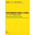 特別支援教育の到達点と可能性 2001～2016年:学術研究からの論考