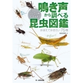 鳴き声から調べる昆虫図鑑 おぼえておきたい75種