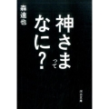 神さまってなに? 河出文庫 も 8-2