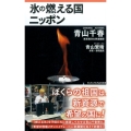 氷の燃える国ニッポン ワニブックスPLUS新書 175