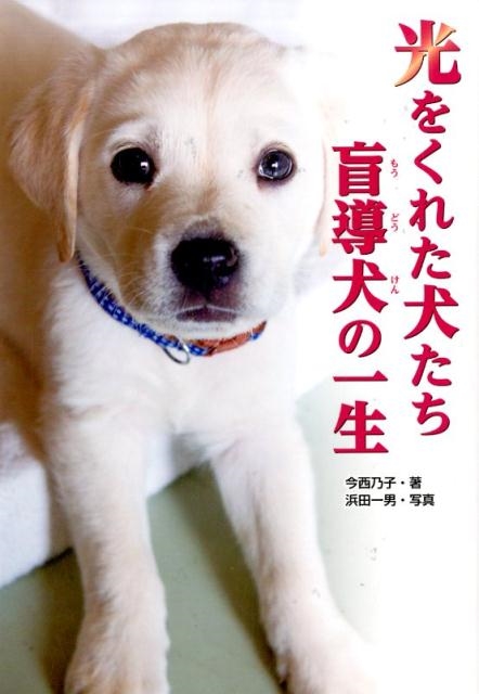 今西乃子/光をくれた犬たち盲導犬の一生 ノンフィクション知られざる世界