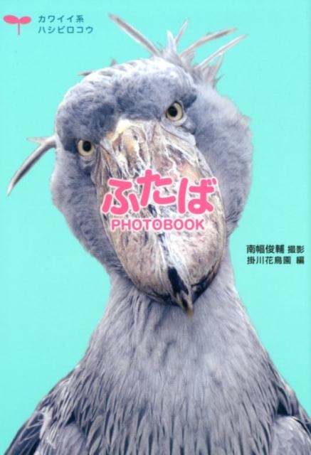 ふたばPHOTOBOOK カワイイ系ハシビロコウ