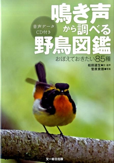 松田道生/鳴き声から調べる野鳥図鑑 おぼえておきたい85種