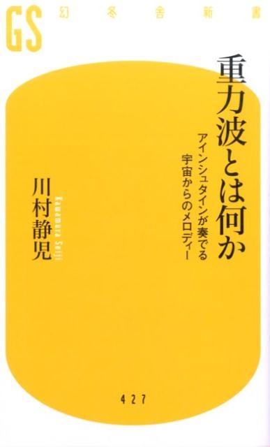 川村静児/重力波とは何か アインシュタインが奏でる宇宙からのメロディー 幻冬舎新書 か 21-1[9784344984264]