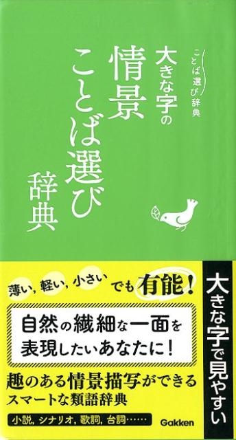 大きな字の情景ことば選び辞典 ことば選び辞典