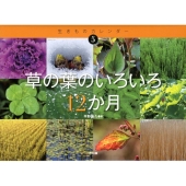 草の葉のいろいろ12か月 生きものカレンダー 5