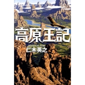高原王記