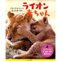 ライオンの赤ちゃん しりたいな!動物の赤ちゃん
