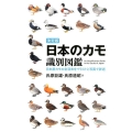 日本のカモ識別図鑑 決定版 日本産カモの全羽衣をイラストと写真で詳述