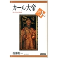 カール大帝 ヨーロッパの父 世界史リブレット人 29