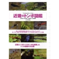 近畿のトンボ図鑑