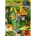 ずかんハチ 見ながら学習調べてなっとく