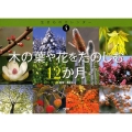 木の葉や花をたのしむ12か月 生きものカレンダー 4