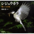 シジュウカラ 庭にくる小鳥 日本の野鳥