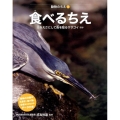 食べるちえ 虫をえさにして魚を取るササゴイほか 動物のちえ 1