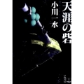 天涯の砦 ハヤカワ文庫 JA オ 6-9