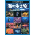 海の生き物 365日出会う大自然