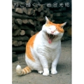 ねこ輝く ニッポンの猫写真集